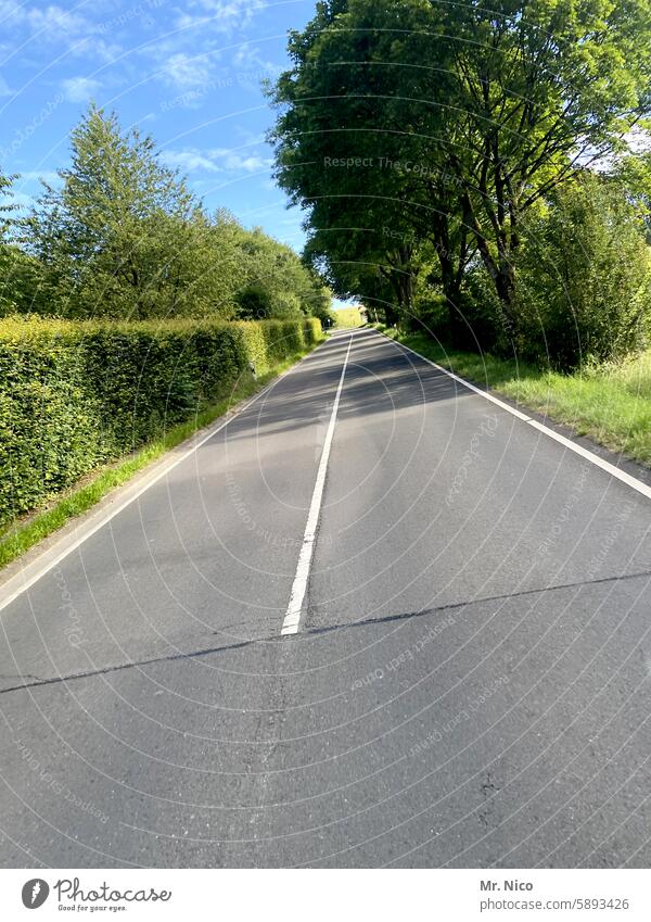 highway Country road Asphalt Street Continuous line two lanes Lanes & trails empty street Traffic lane road course road trip Green no passing on the road