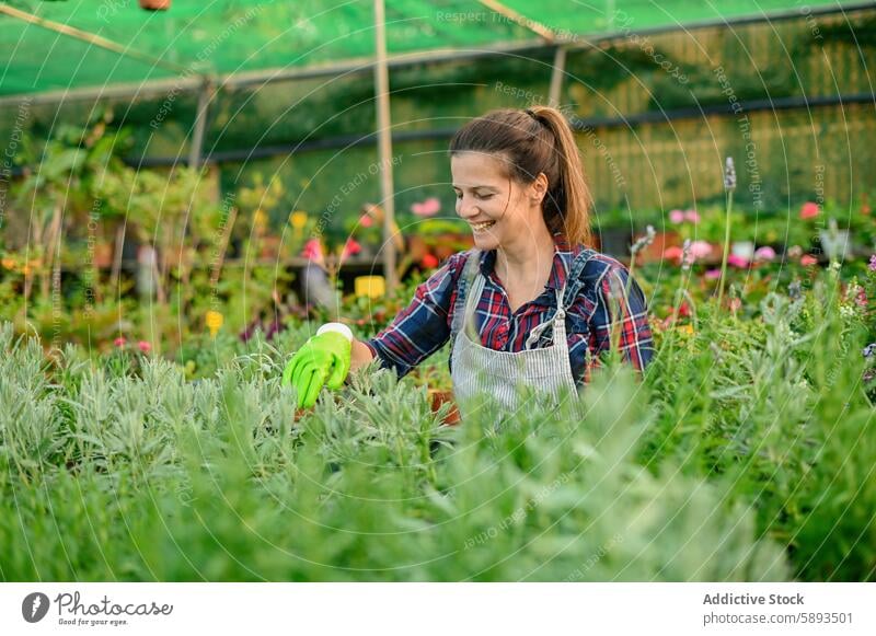 Cheerful gardener working in greenhouse woman plant worker smile cheerful growth female hothouse occupation job botany positive flora optimist fresh lush