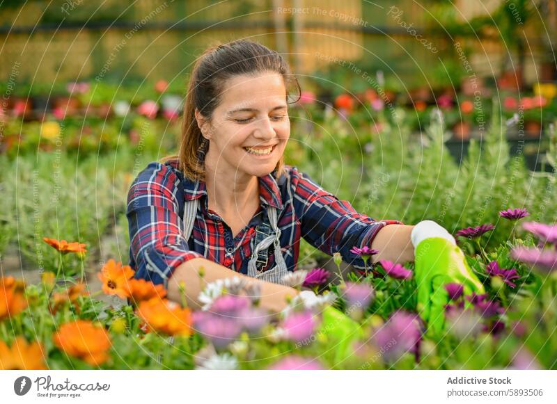 Happy woman sitting among flowers gardener work smile happy plant bloom female blossom flora horticulture hobby botany job positive cheerful colorful floral