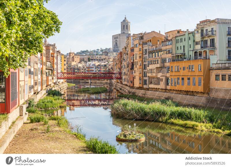 Girona Flowers Festival 2024, Spain ancient architecture artistic bridge building catalan catalonia cathedral church city city landscape colourful day decorated