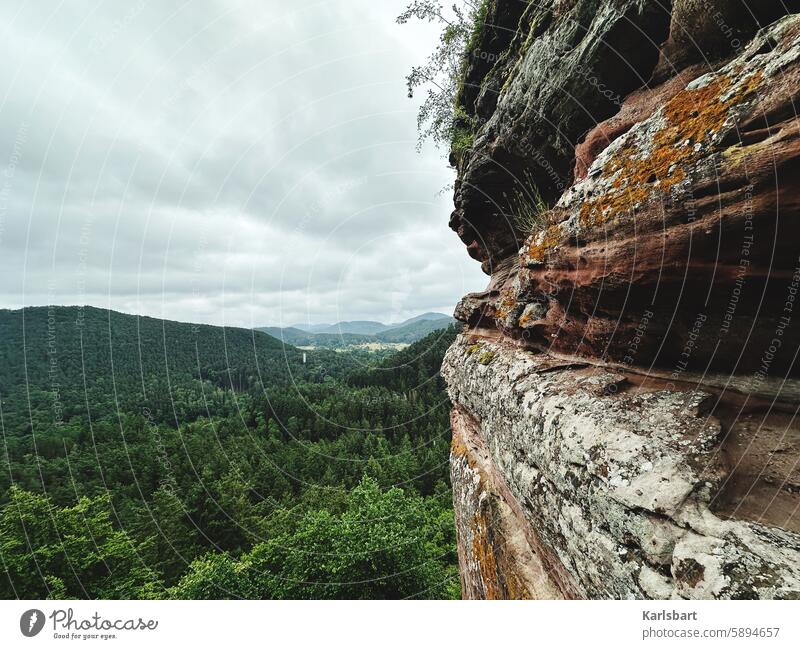 rocky country rocky landscape Nature Landscape Sky Palatinate forest Panorama (View) Far-off places Exterior shot Mountain Freedom Forest landscape photograph