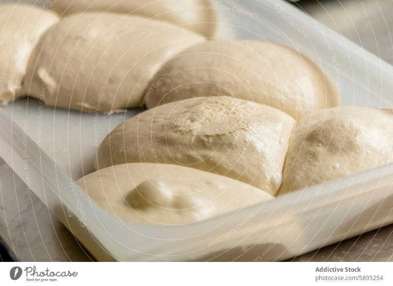 Fresh pizza dough balls resting on a tray for preparation close-up texture baking fresh bakery process ingredient food kitchen cook chef homemade italian