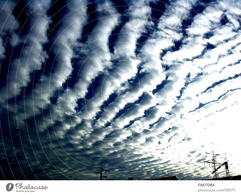 A Monday morning Clouds Crane Waves Storm Dark Sky Nature Water Flying Industrial Photography Weather Rain fly.