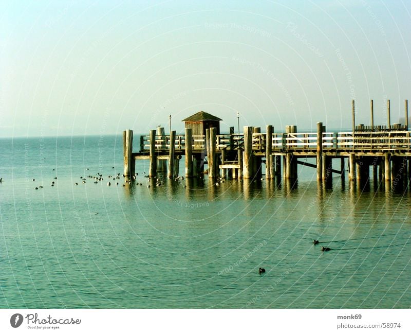 Ammersee Lake Ammer Winter Water Idyll melancoly