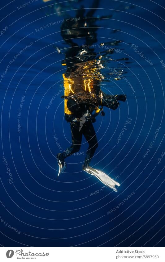 Diver suspended in clear blue ocean waters diver underwater depth wetsuit serene illuminated sunlight equipment fins male gear scuba diving unrecognizable