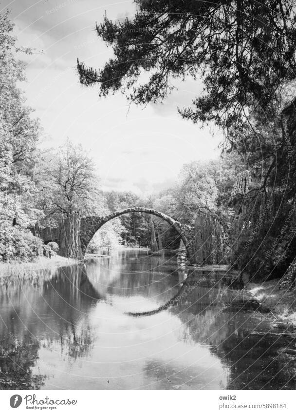 Rapture Rakotzbrücke Park Lake Water Exterior shot Nature Landscape Bridge Environment Day Plant Reflection Calm Lakeside Deserted Idyll Kromlauer Park