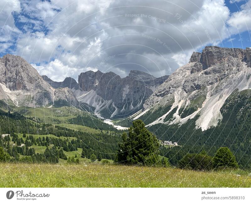 Col Raiser Alpine pasture South Tyrol mountains alpine landscape Italy Meadow Landscape Mountain Alps Nature Hiking Vacation & Travel Sky Rock Peak Relaxation