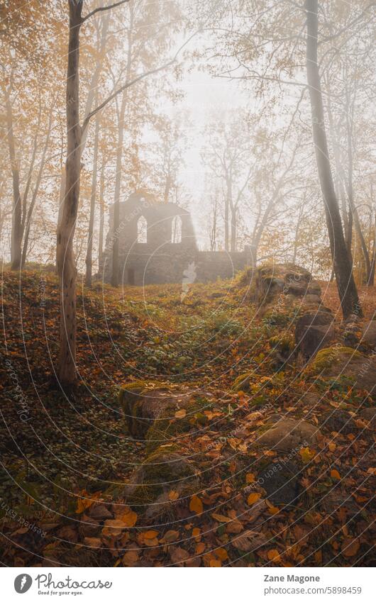 Medieval castle ruins in autumn, Krimulda, Sigulda, Latvia Burg Kremon sigulda latvia nature latvia landscape tourist attraction Architecture medieval Europe