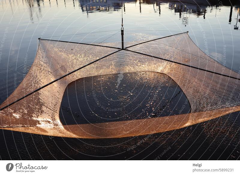 Sink net fishing in the evening sun Harbour Net Water reflection Evening sun Sunlight Light Shadow Fishery Fishing net Network Catch Fishing port Maritime