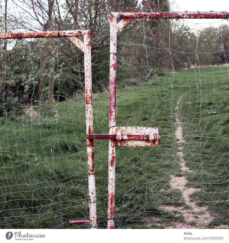 Stories from the fence .153 Fence Goal locked Rust Meadow off trees Old Wire asymmetric Locking bar too Private badly painted door Entrance Metal Front door