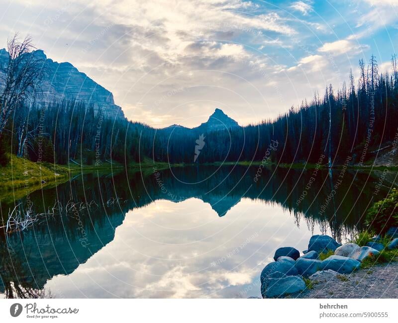 wyoming Reflection wide mountain lake Impressive Far-off places Wanderlust especially Vacation & Travel Fantastic Nature Forest Landscape Mountain trees Lake