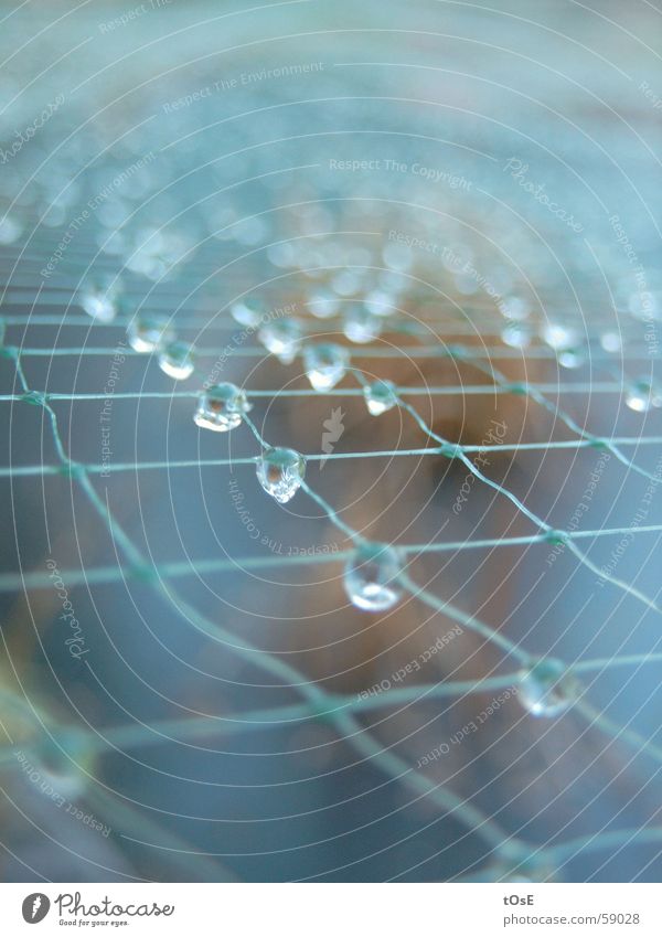 melting drops Ice Drops of water Net Rope Rain Macro (Extreme close-up)