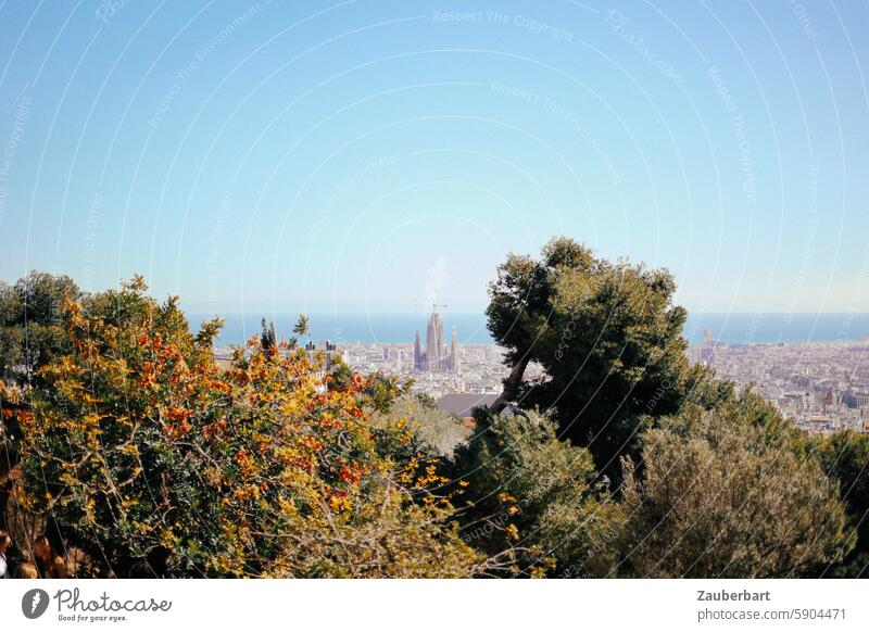 Panorama of Barcelona with bushes in the foreground and Sagrada Familia panorama Tourist Attraction Manmade structures Town Tourism overtourism Sightseeing