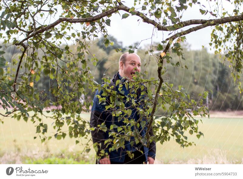 A hungry creature stands behind a birch tree and happily munches the leaves from the branches Nature hunger Funny Man Human being person Mouth Eating graze