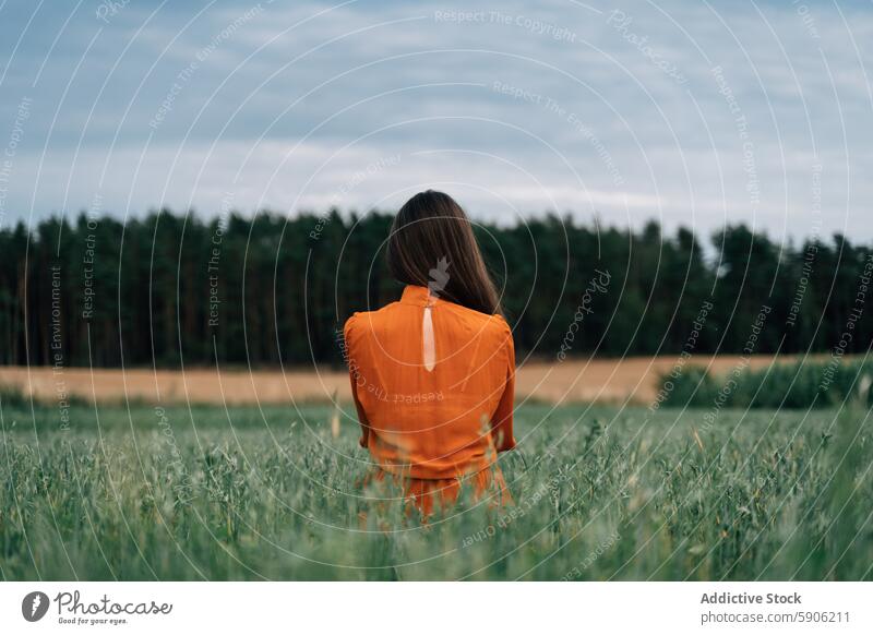 Brunette woman gazing at a forest viewed from behind field brunette orange dress looking away nature outdoors tranquility serene summer rural meadow grass