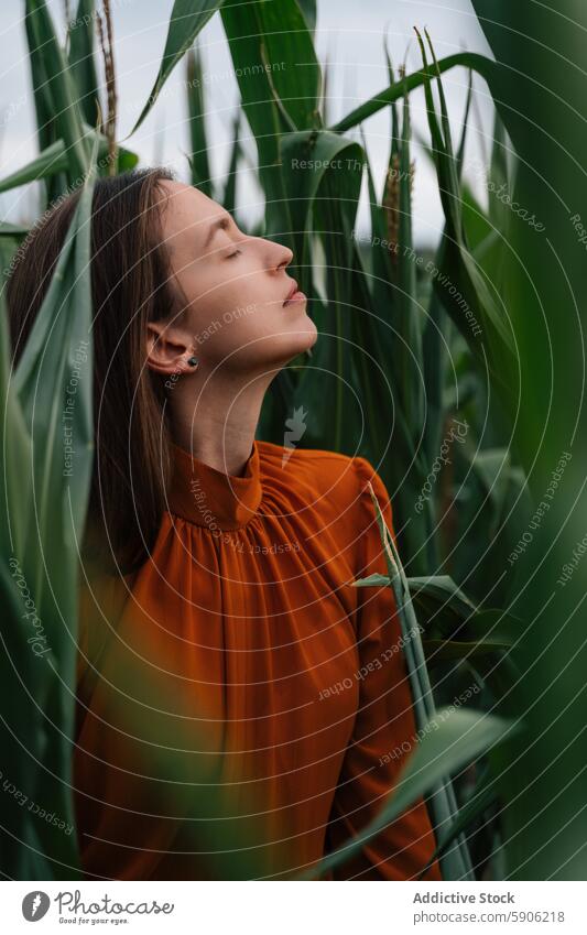 Serene woman in orange dress enjoying peace in a cornfield brunette nature tranquility peaceful serene eyes closed young adult outdoor summer rural greenery