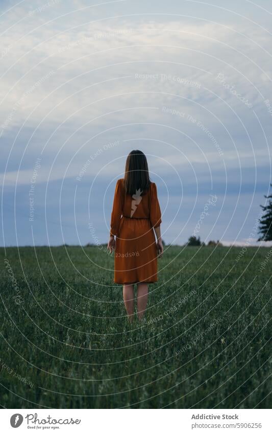 Brunette woman standing in a field looking away brunette dress orange sky cloudy green grass contemplative solitude peace nature outdoor alone rear view