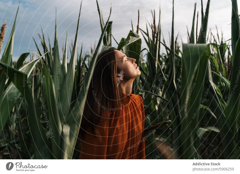 Woman enjoying a tranquil moment in towering cornfield woman brunette eyes closed nature green orange blouse peaceful solitude outdoors agriculture farm summer