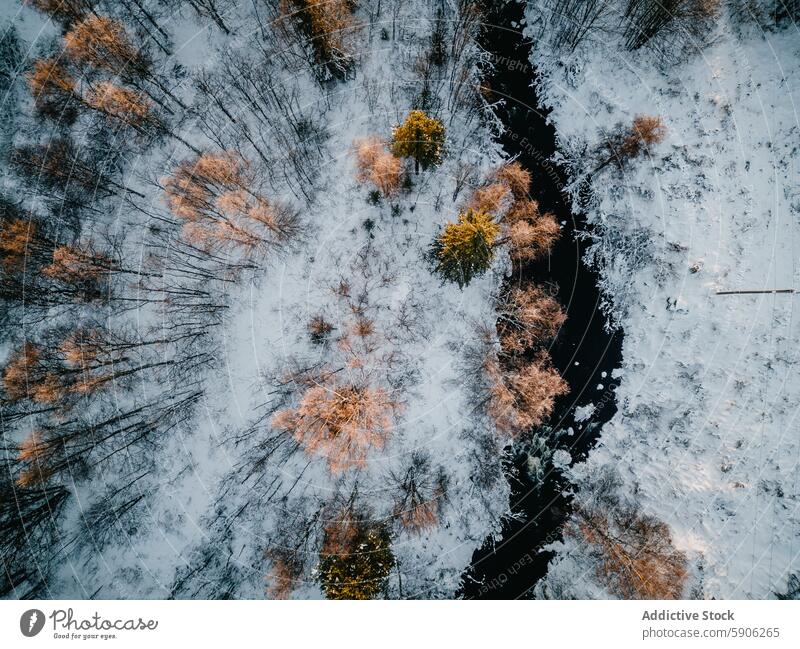 Aerial view of a snowy forest bisected by a river in Lapland lapland aerial view meander finland landscape golden treetop winter snow-covered birds-eye nature