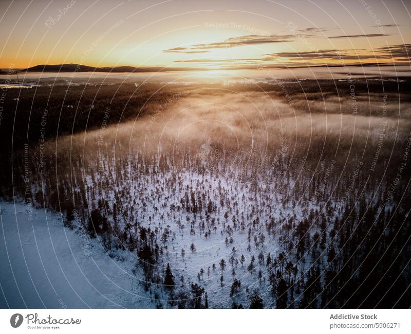 Winter sunrise over a foggy forest in Lapland winter lapland snow aerial view cold morning tree golden landscape nature outdoor scenic wilderness frost season