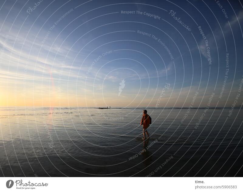 Woman in front of the evening sky feminine Observe look take a walk shallow water Baltic Sea Sand Evening Clouds Horizon summer wind Sky Vacation & Travel