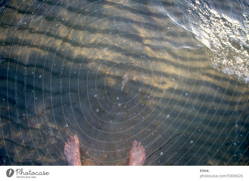 Feet in the sea on ripples lapped by waves feet Naked Water Baltic Sea Ripple Ripple marks shallow water Sunlight Reflection shine Illuminate bathe Stand