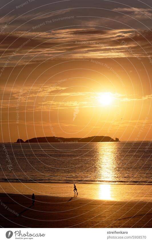 On the beach at sunset Summer Sunset Sky Evening Nature Ocean Clouds Beach Landscape Water Horizon coast Sunlight Twilight Dusk Vacation & Travel Reflection