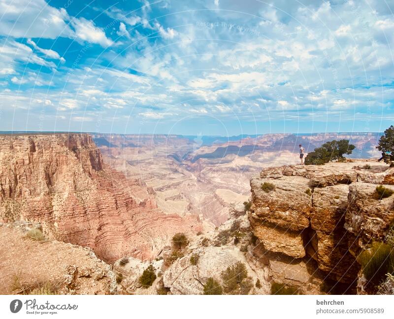 big wide beautiful world Vantage point Rock Colorado River stunningly Overpowered Nature Grand Canyon Far-off places Vacation & Travel Sky Freedom Americas USA