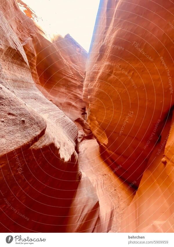 orange Impressive Fascinating canyon Fantastic Arizona Vacation & Travel Exceptional Far-off places Nature Americas USA Antelope Canyon stunningly Rock Orange