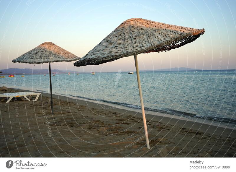 Large round wicker parasols against blue sky in the light of the evening sun in summer on the beach of Sarimsakli near Ayvalik in the province of Balikesir in Turkey