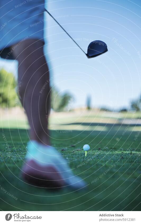 Middle-aged golfer playing on a sunny day sport middle-aged outdoor golf course swing golf club golf ball tee sportswear leisure activity hobby recreation grass