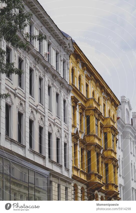 old building Facade Vienna Old building White Yellow Glass Period apartment Window House (Residential Structure) Architecture Building Deserted