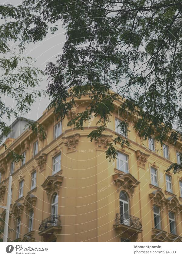 Yellow building Old building Building Town Summer Tourism Inspection Vienna Architecture architectural photography Exterior shot Facade Deserted Colour photo