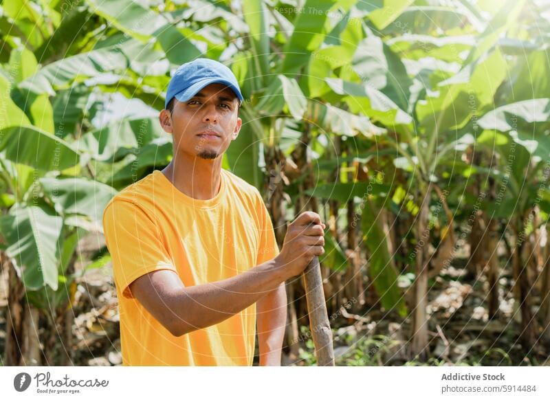 Man preparing to transplant hibiscus shoots in garden gardener man shovel green habitat lush sunny sky work agriculture horticulture care outdoor activity