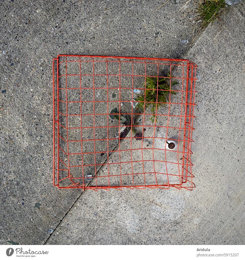 Wire basket on concrete slabs Basket Orange Trash Gray Concrete Concrete slabs Ground graphically Square lost places Broken Change Old