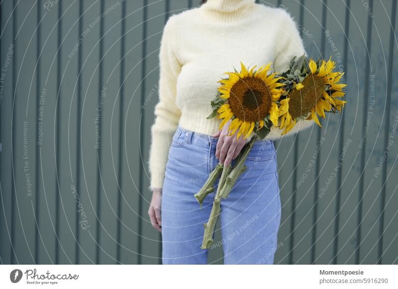 Woman holding picked sunflowers Sunflower stop Pick Picked Sweater Yellow Florist Summer Nature Flower Hand Plant Fresh Harvest Blossom Colour photo naturally