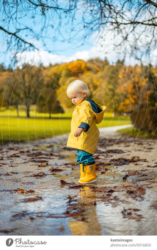 Sun always shines after the rain. Small bond infant boy wearing yellow rubber boots and yellow waterproof raincoat walking in puddles in city park on sunny rainy day.