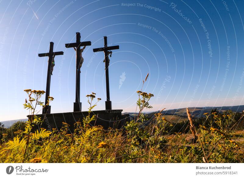 Three crosses from behind with yellow flowers in the foreground and vapor trails in the blue sky Kreuzberg Crucifix Rhön Religion and faith Rear view