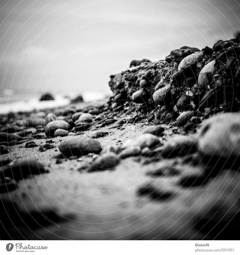 steep coast Sand Sky Autumn Baltic Sea Gray Black White Stone Beach Detail Black & white photo Exterior shot Deserted Copy Space left Copy Space top