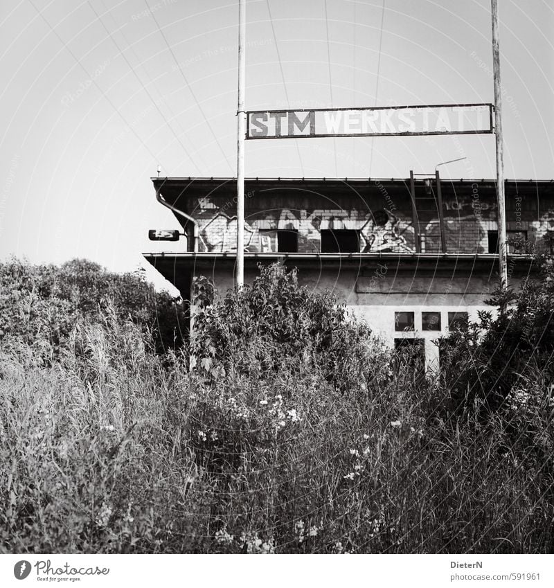 workshop Outskirts Deserted Industrial plant Building Facade Concrete Steel Characters Graffiti Gray Black White Ruin Workshop Grass Overhead line Analog