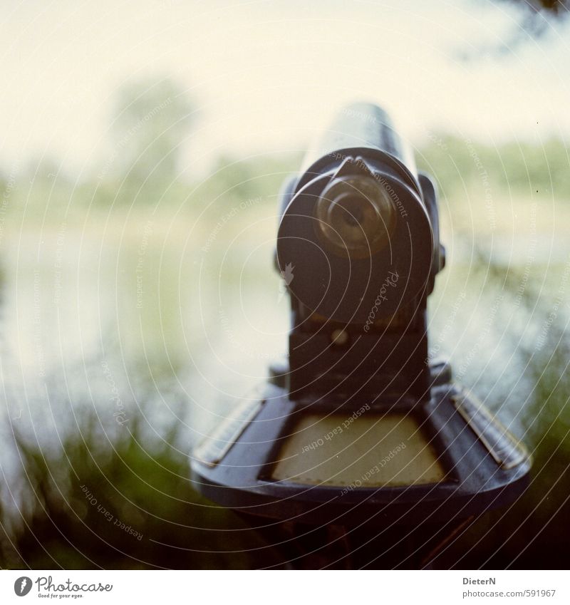 Clear view Metal Yellow Gold Green Telescope Analog Cross processing Medium format Bushes Lakeside Colour photo Exterior shot Deserted Copy Space left