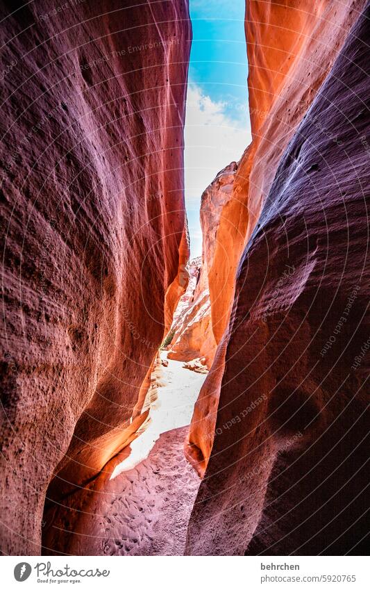 a way out Canyon Rock stunningly Antelope Canyon USA Americas Nature Far-off places Exceptional Vacation & Travel Arizona Fantastic canyon Fascinating