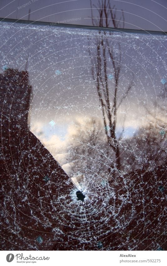 It wasn't me! Sky Clouds Tree Town Deserted High-rise Wall (barrier) Wall (building) Window pane Facade Hollow Rockfall Reflection Glass Broken Gloomy Longing