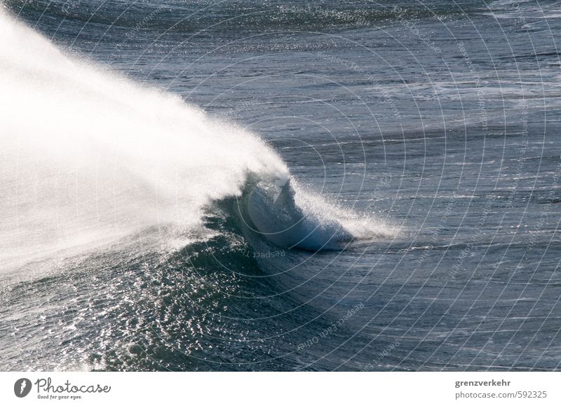 wave monster Water Gale Waves Coast Ocean Mediterranean sea Respect Power Force Roaring Wave break Swell Colour photo Exterior shot Deserted Copy Space right