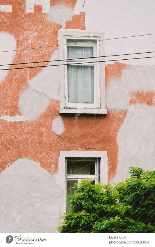 Old façade orange and white Facade luminescent Orange Beige White Window Cables Green Summer Summer in the city Building Town Architecture