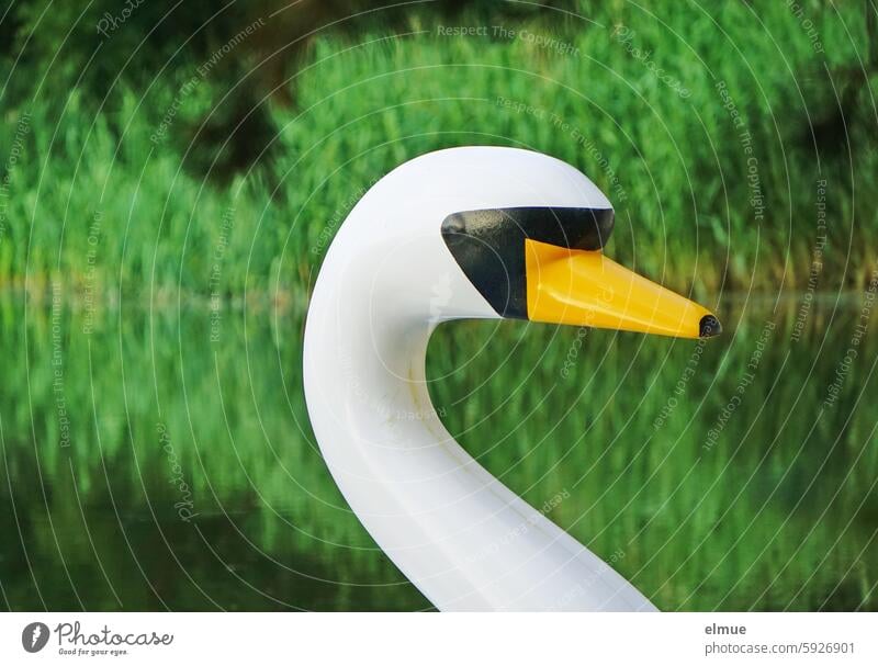 imitation swan's head of a pedal boat in front of a green shoreline Swan Swan's head Pedalo model copy gooseneck my dear swan imitate Blog Beak Lakeside bank