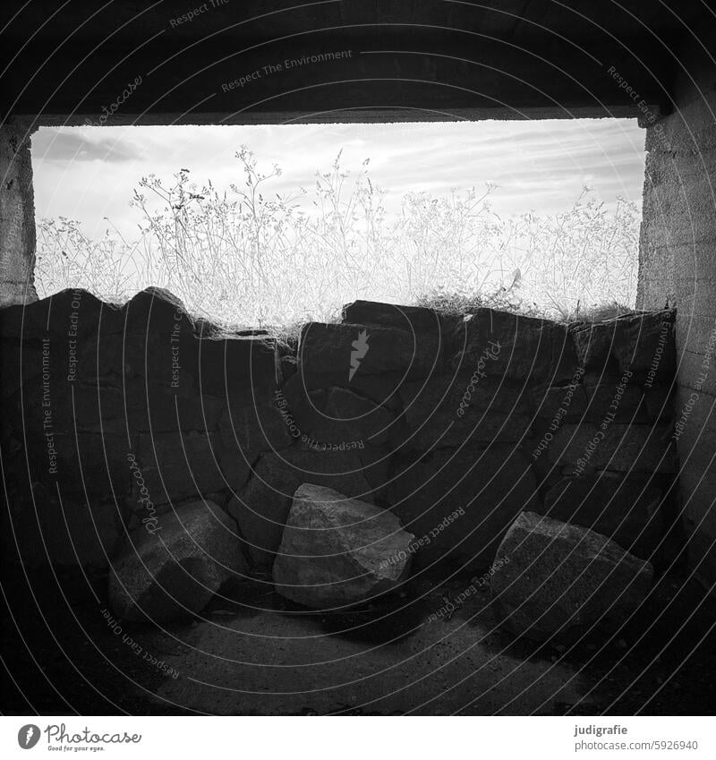 View into the light Light Meadow Dugout Bunker ruins Nature Dark Bright stones Sky Bright spot inside Wall (building) outlook Building Manmade structures Window