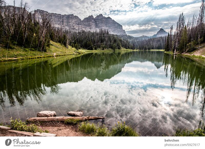 mirror stories Reflection wide mountain lake Impressive Far-off places Wanderlust especially Nature Vacation & Travel Fantastic Forest Landscape Mountain trees