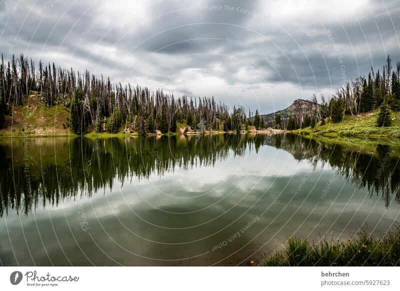 when up is also down silent stones Wyoming USA Americas Water Clouds Lake trees Mountain Landscape Forest Fantastic Vacation & Travel Nature especially