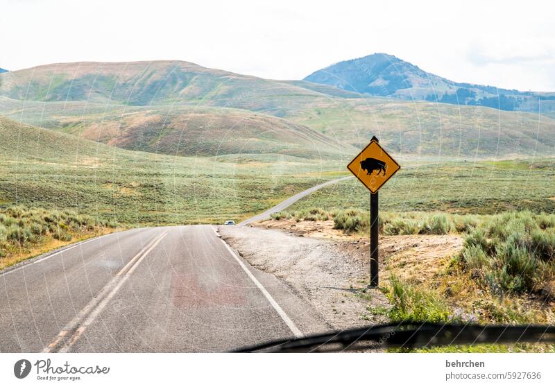 forewarned travel Colour photo Adventure Wanderlust Nature Far-off places wide Exceptional Lanes & trails Street Sky Landscape Vacation & Travel Road sign